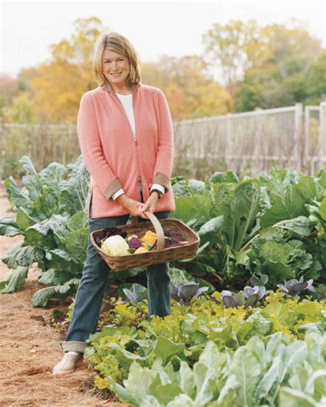 Gardening Martha Stewart